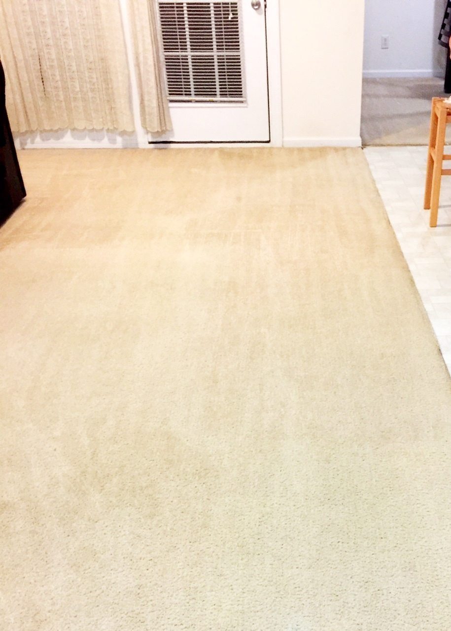 After our carpet cleaning service in Raleigh, NC