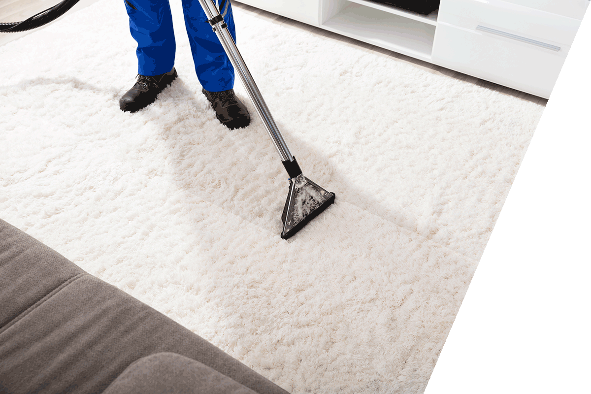 TW Pro Carpet & Upholstery Cleaner